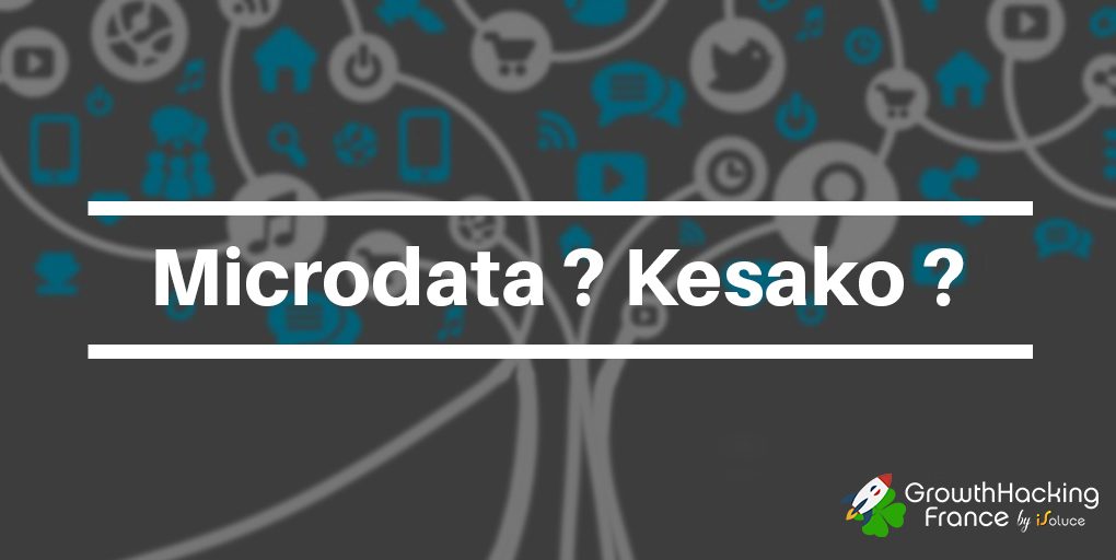 microdata_kesako