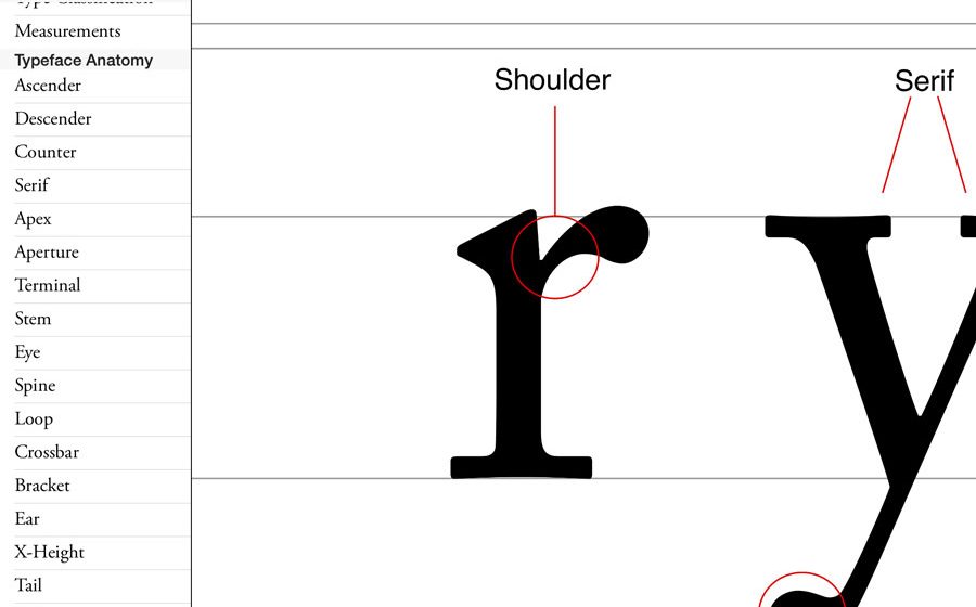07-anatomie-typo