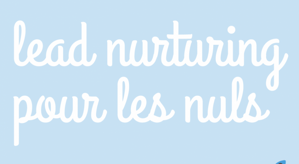 image-a-la-une-lead-nurturing-pour-les-nuls-1073x766