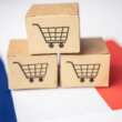 E-commerce : les 100 marques les plus performantes en France